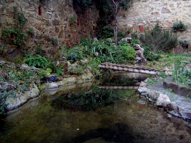 Il Laghetto del Centro di Entomologia - Piombino (LI)